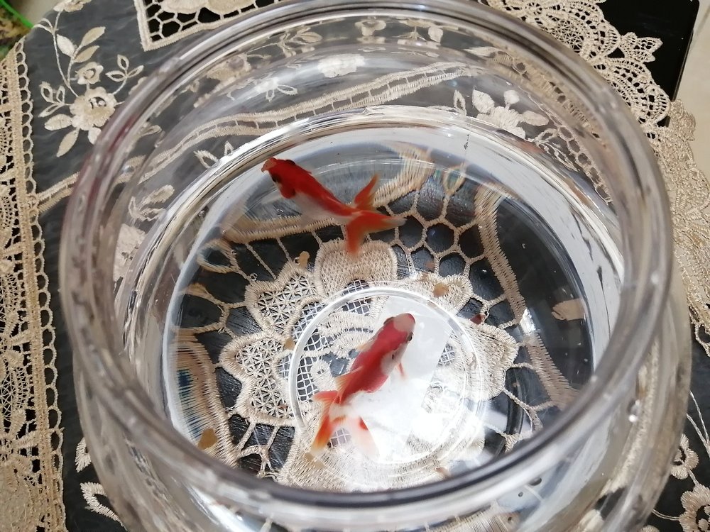 Photograph by REAHBELN ALZATE