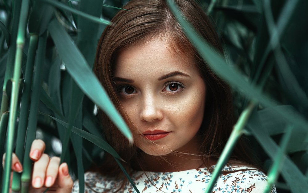 Фотография автора Mike Mike