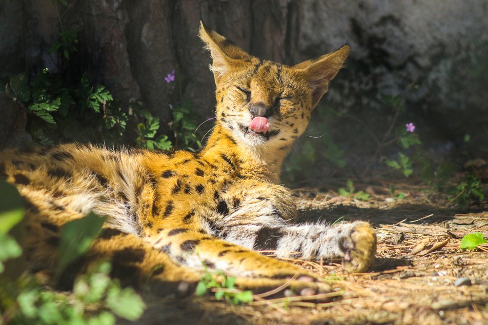 Photograph by Guram Svanidze