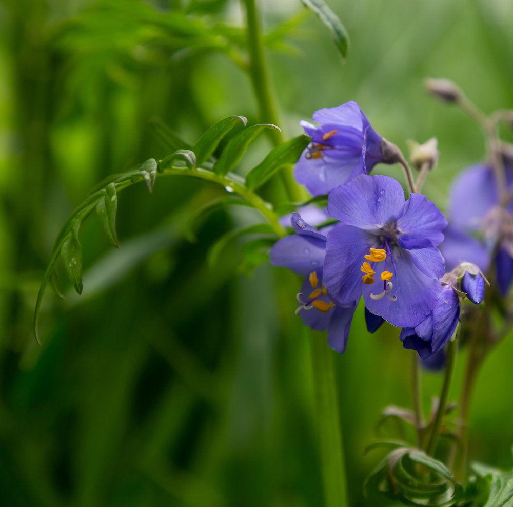 Photograph by Марина Новожилова
