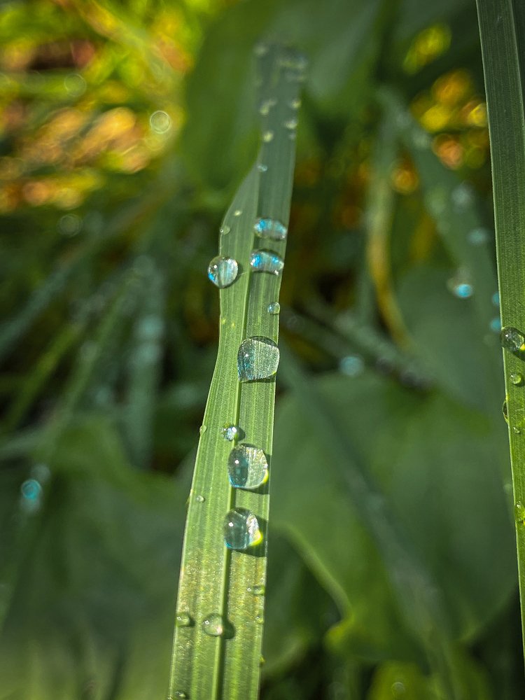 Photograph by Игорь Мурзенко