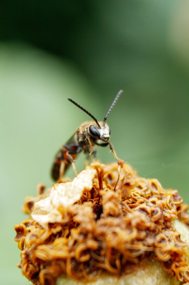 Photograph by Alena Rybakova