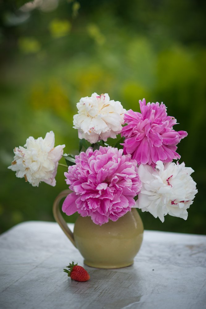 Photograph by Оксана Артимович