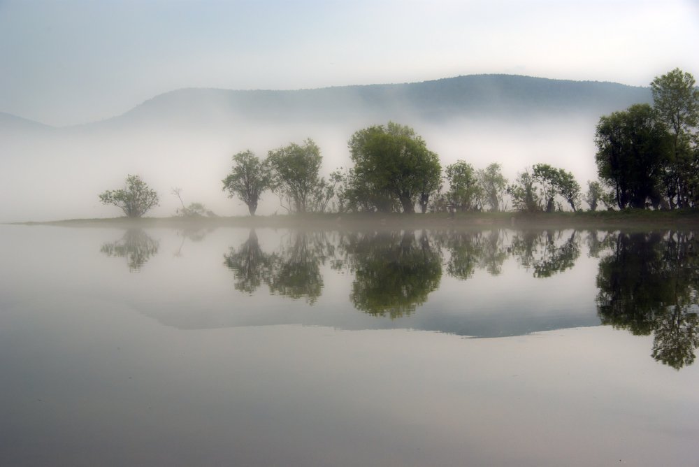 Туманный остров