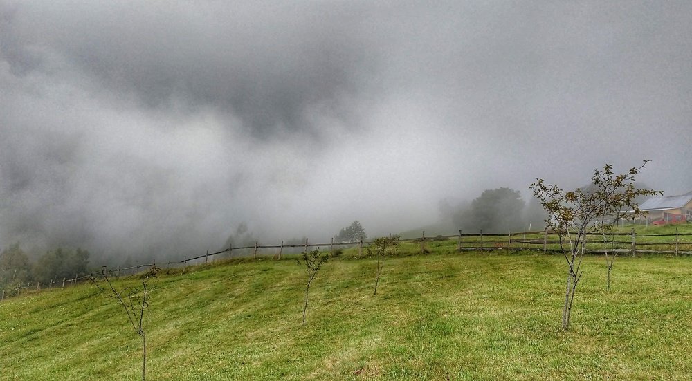 Photograph by Cornelia Ilie