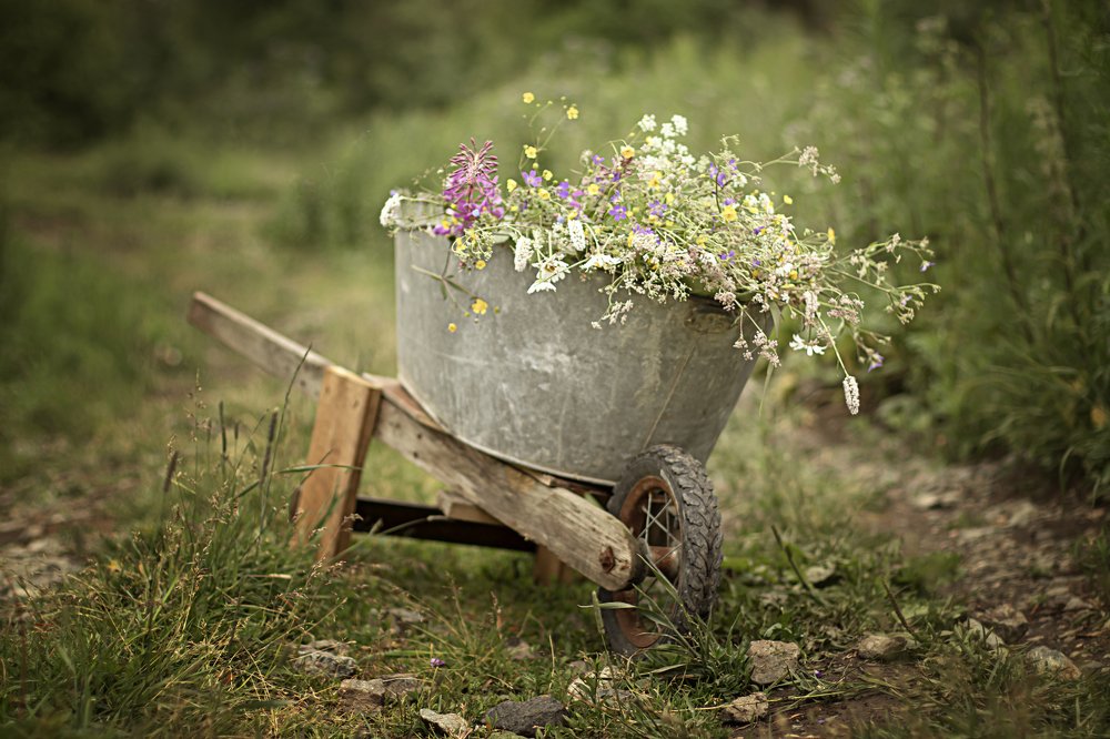 Photograph by Мария Домрачева