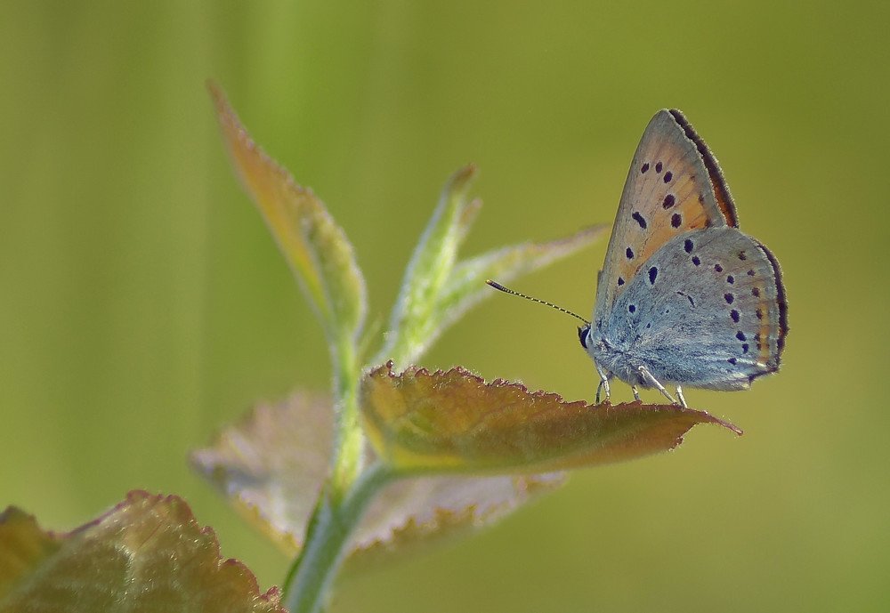 Photograph by Александр Кочуркин