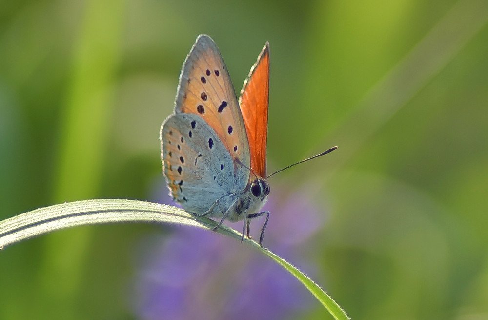 Photograph by Александр Кочуркин