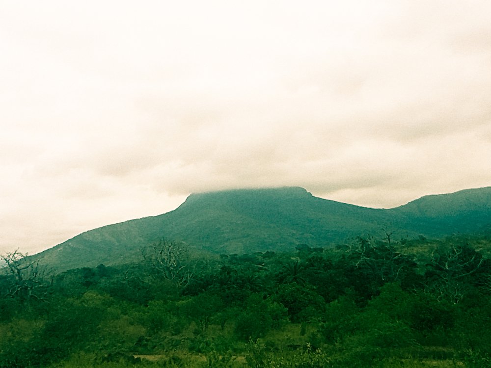 Photograph by Elísio Capitão