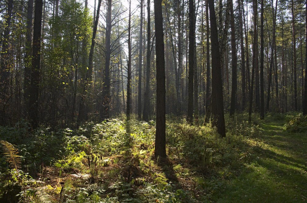 Photograph by Николай Новожилов