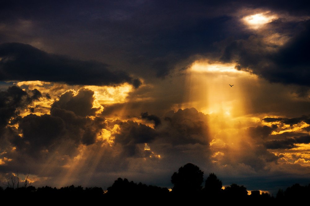 Photograph by Сергей Туранов