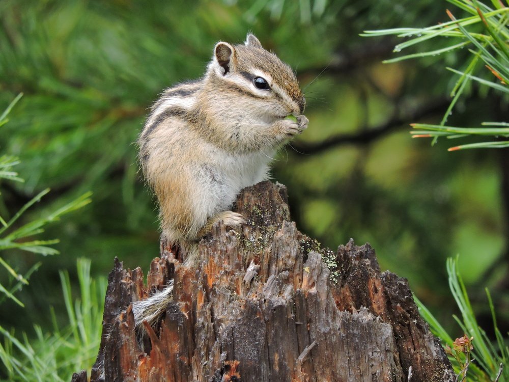 Photograph by Никита Яблоков