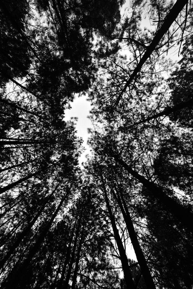 Photograph by Claudio Verón