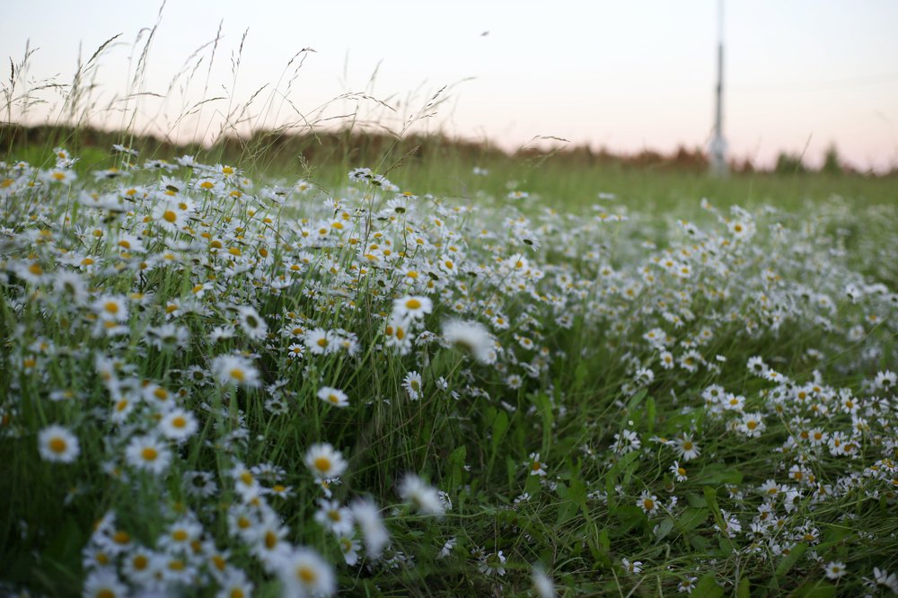 Photograph by Евгения Ляпич