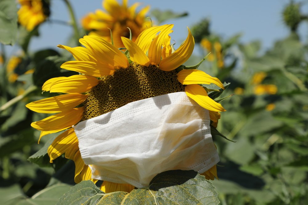 Photograph by Валерия Маркова