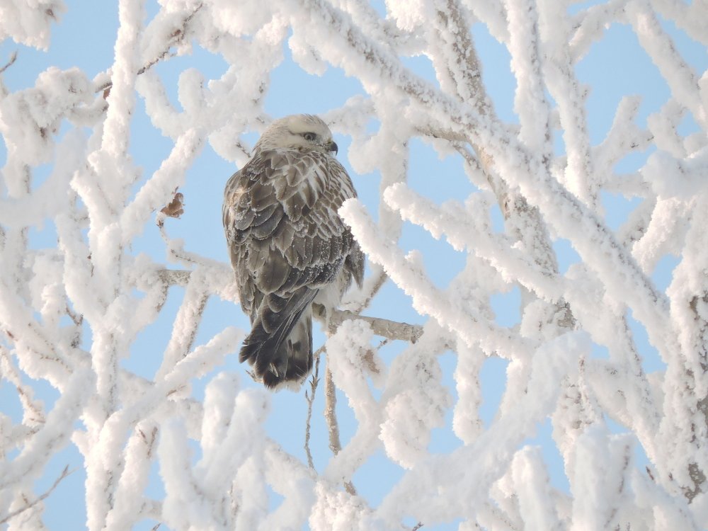 Photograph by Никита Яблоков