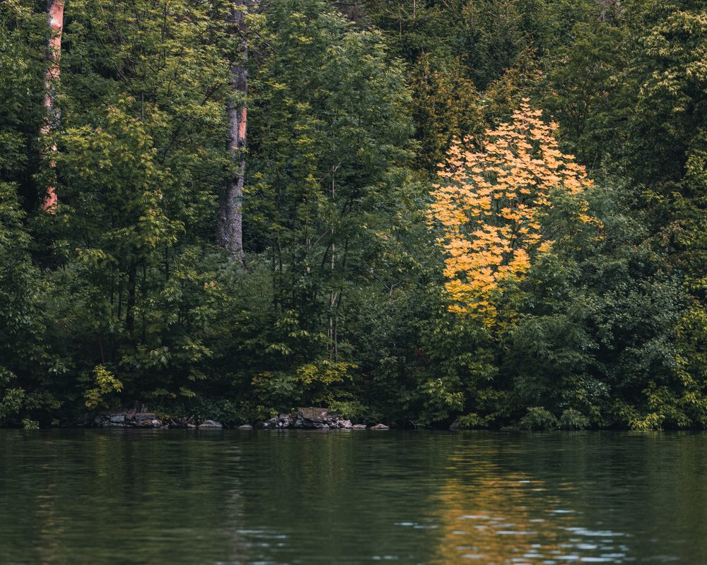 Photograph by Oleksandr Troitskyi