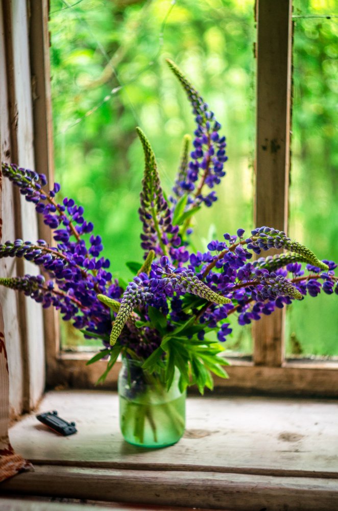 Photograph by Михаил Киселев