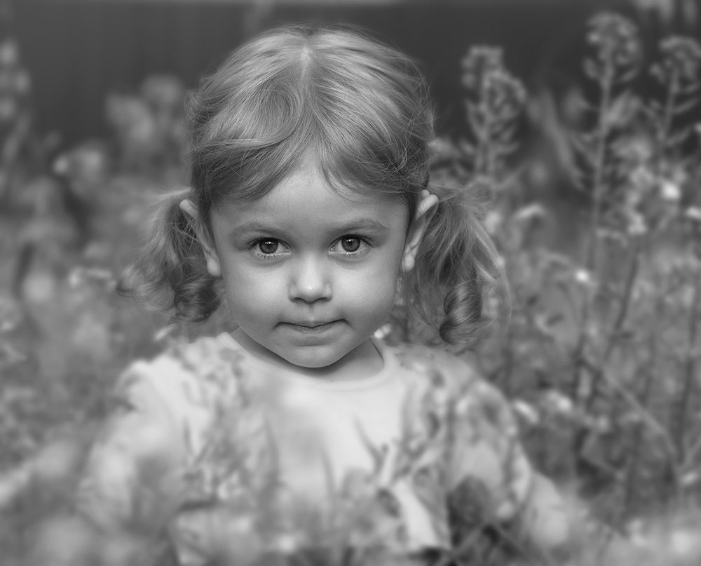 Фотография автора 
