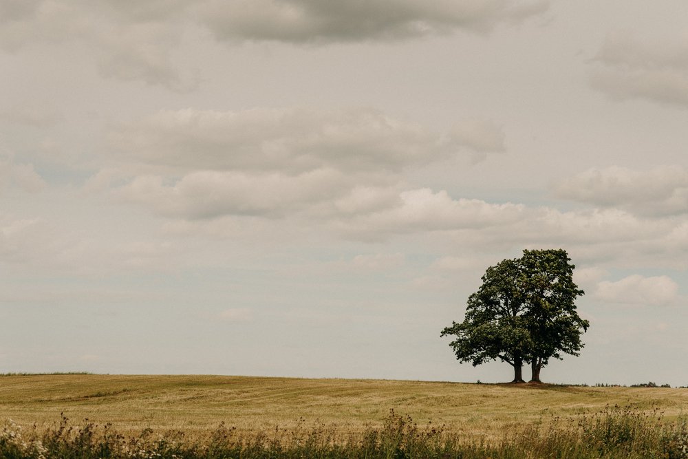 Photograph by Ахметова Венера