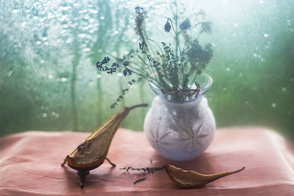 Photograph by Ольга Беспалько