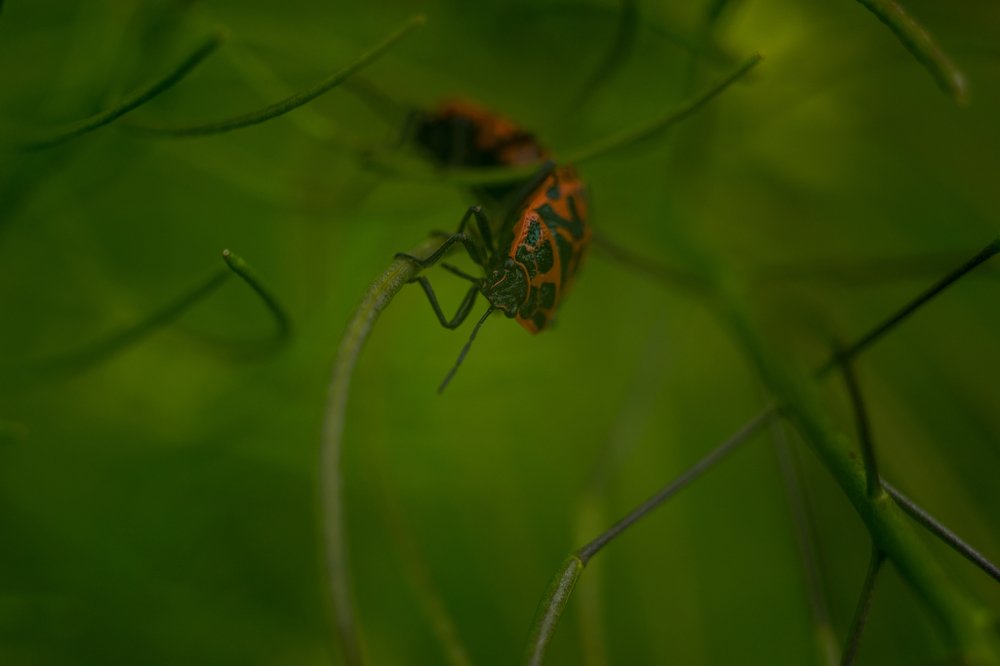 Photograph by Виктор Зотов