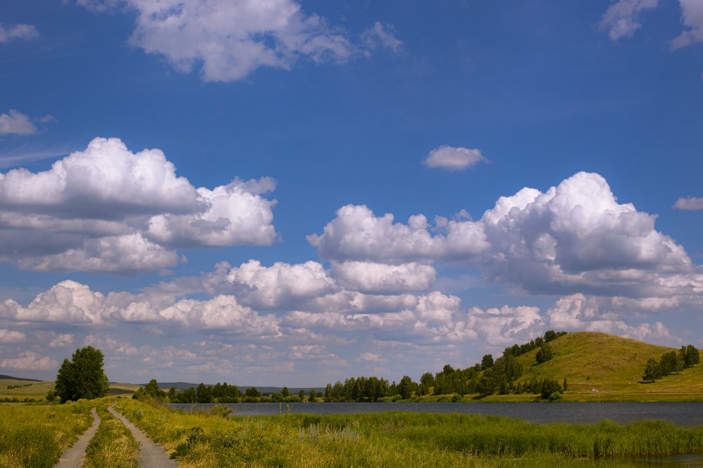 Фотография автора Лариса Корсакова