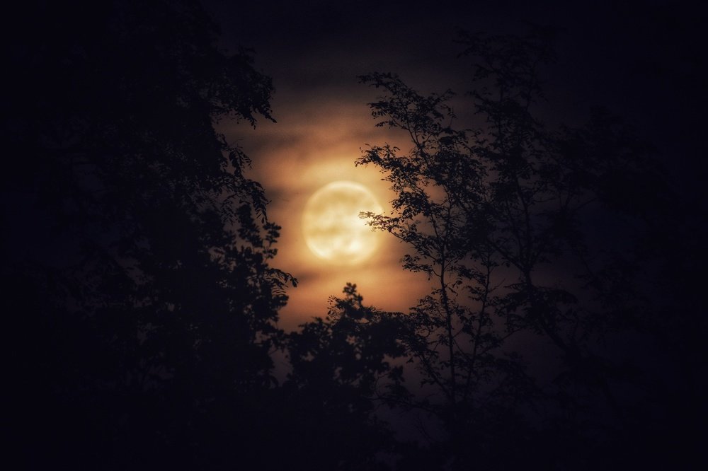 Photograph by Loredana