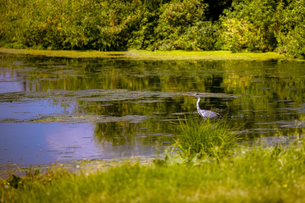 Фотография автора Лариса Корсакова