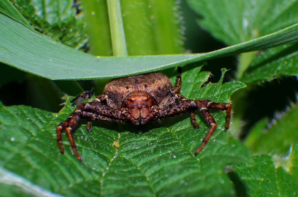 Photograph by маргиз Сафаров