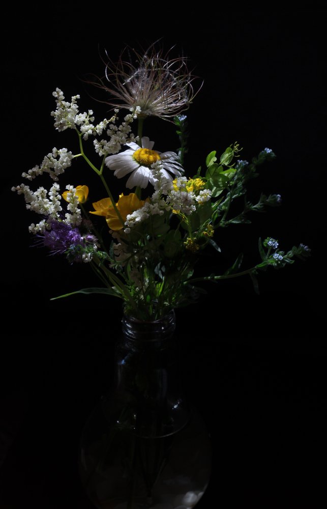 Photograph by Евгения Даниленко