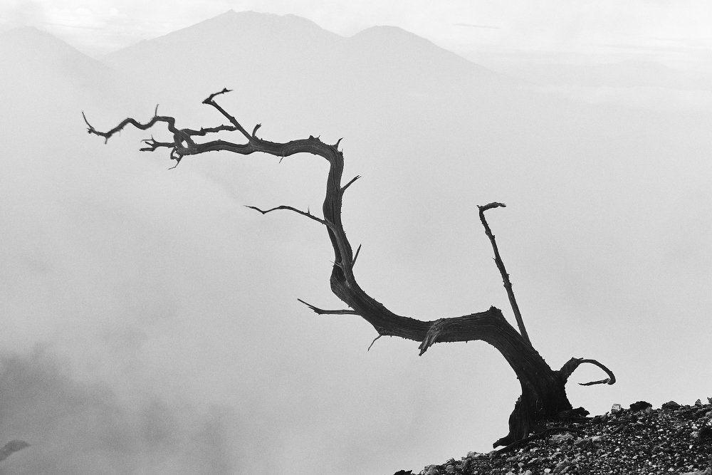 Photograph by Варвара Баталова