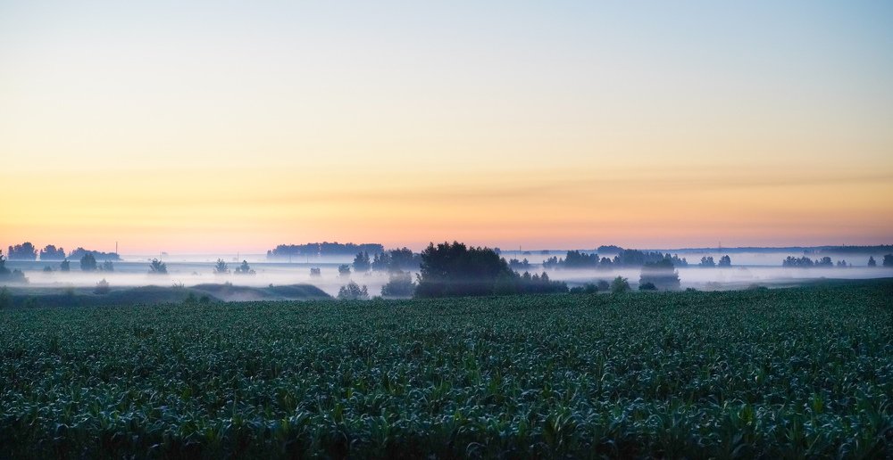 Photograph by Александр Кочергин