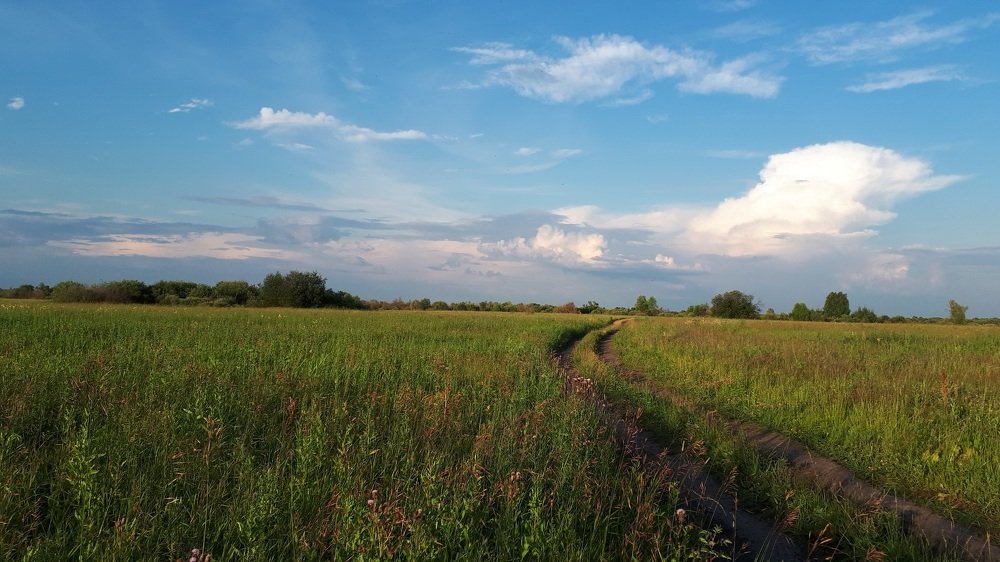 Photograph by Людмила Колеватова