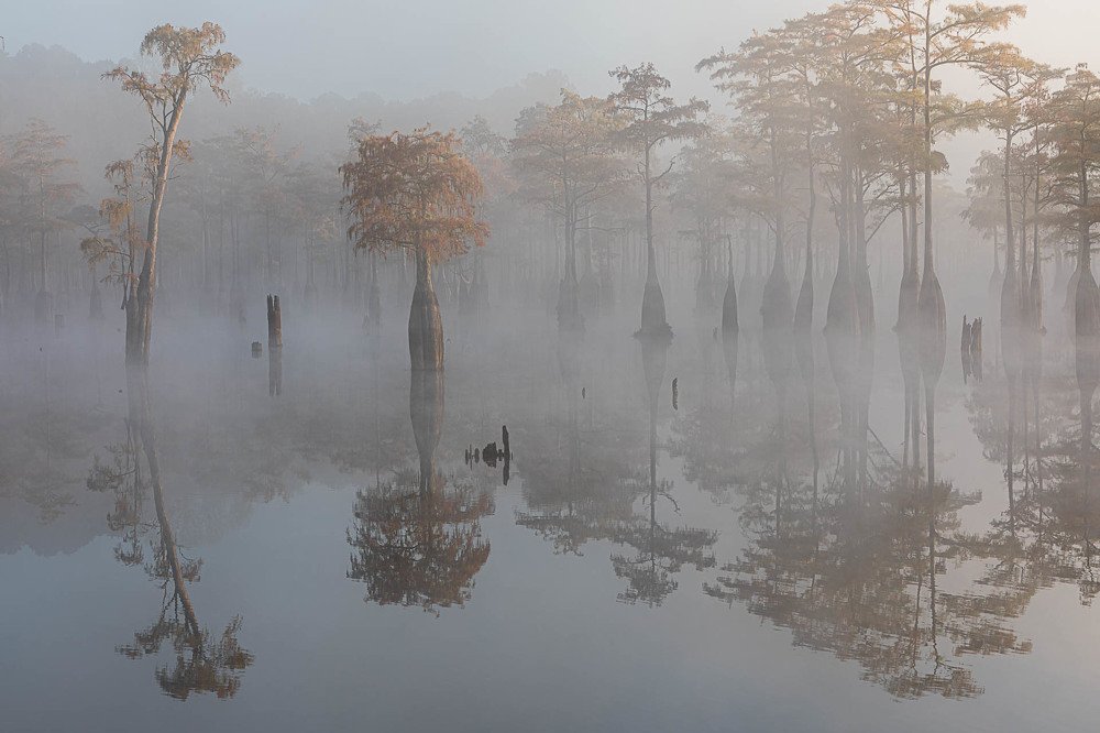 Photograph by Марина Маликова