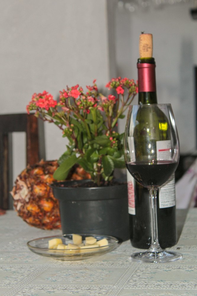 Flores, vinho e queijo.