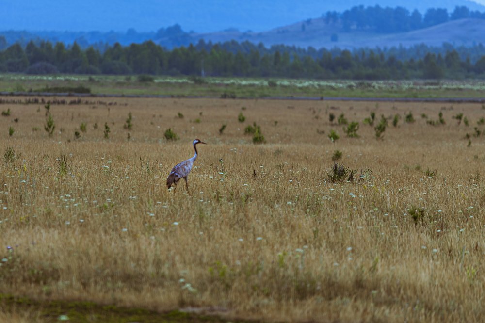 На рассвете