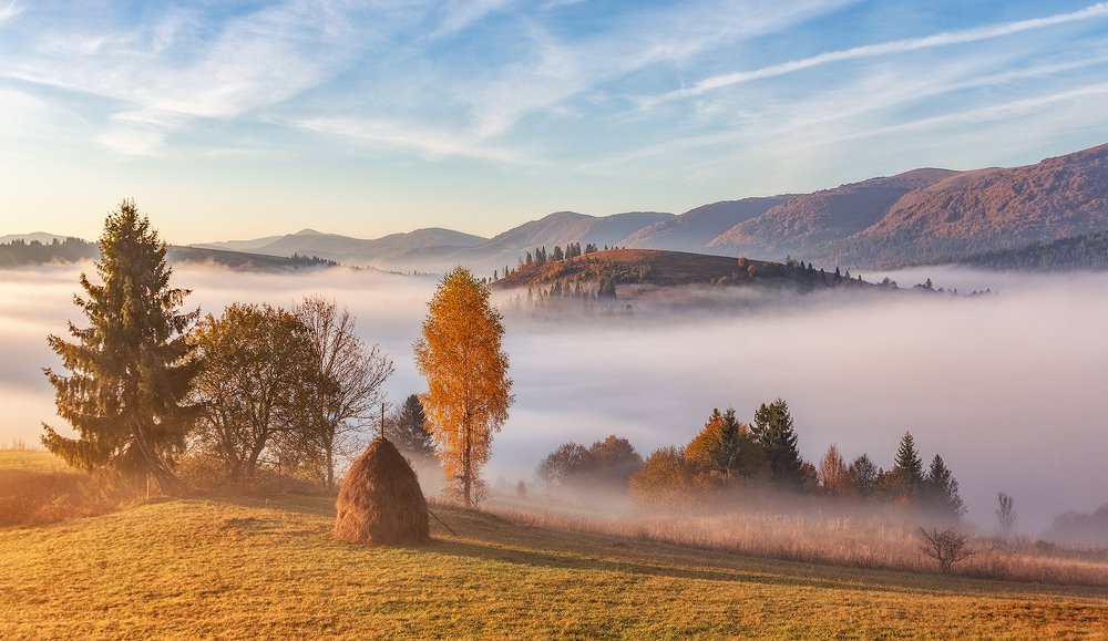 Photograph by Владимир Липецких