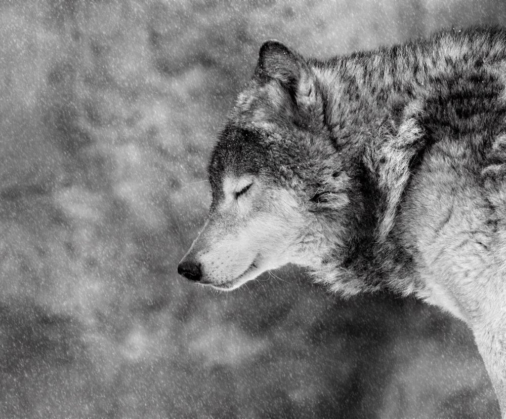 Photograph by Вика Иванова