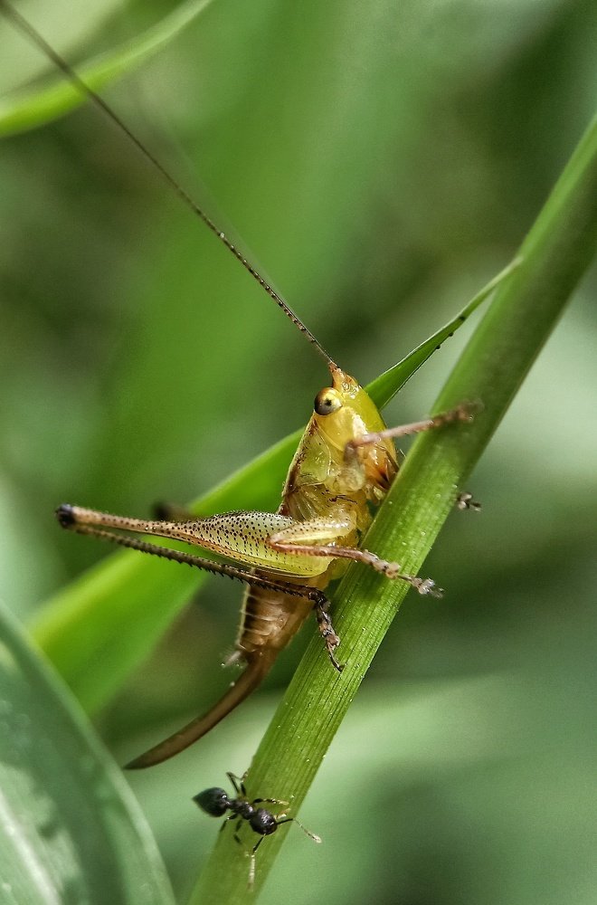 Photograph by Nimantha priyamal