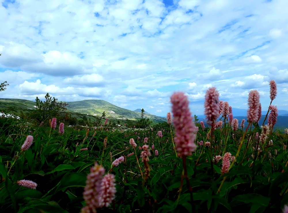 Photo #4761635