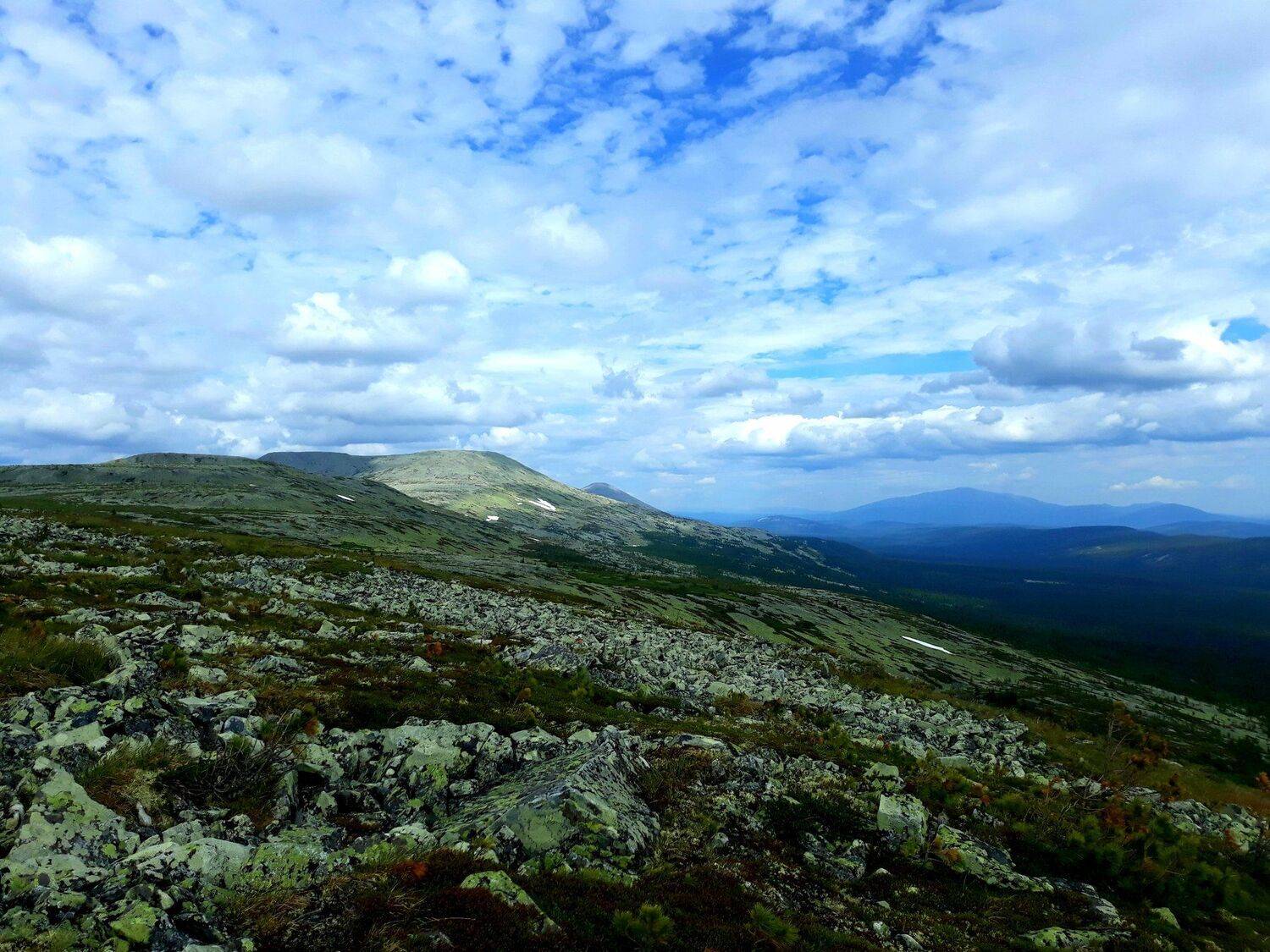 Photo #4761636