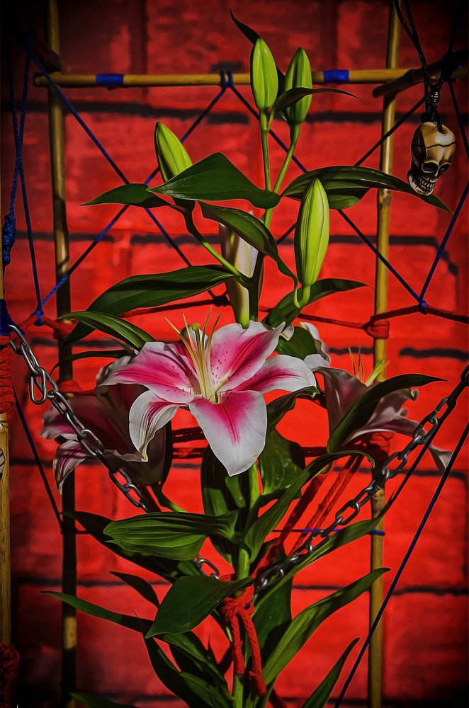 Photograph by Иван Курьянов