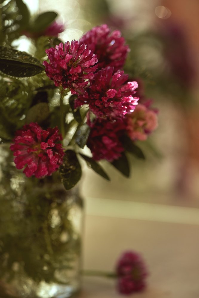 Photograph by Анастасия Амраева