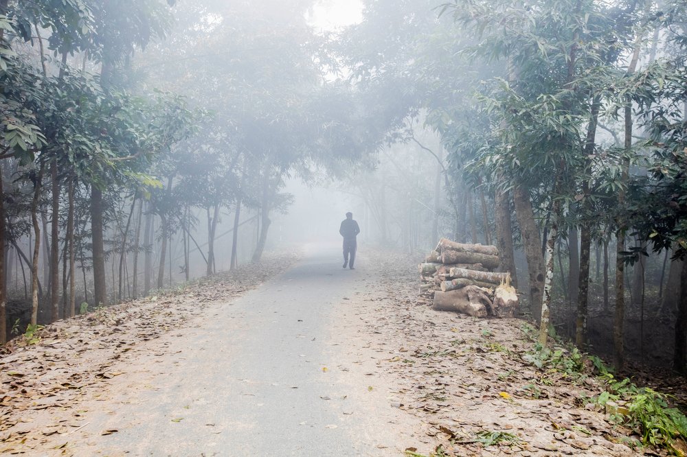 Photograph by Najmul Huda