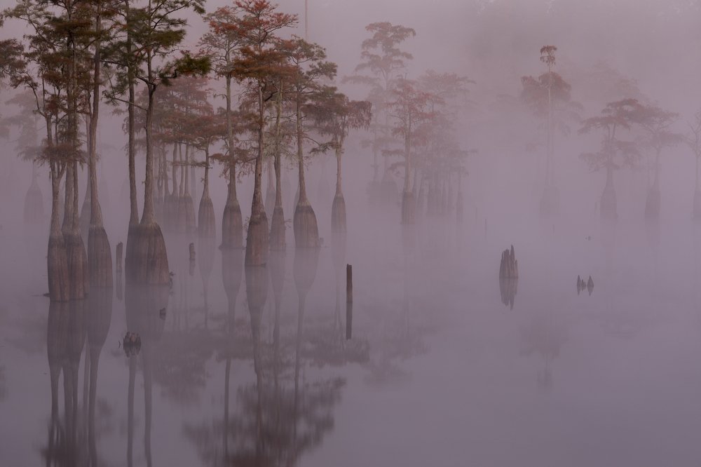 Photograph by Марина Маликова