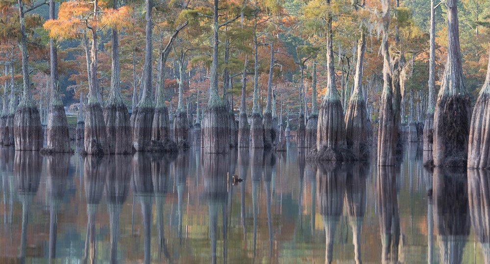 Photograph by Марина Маликова