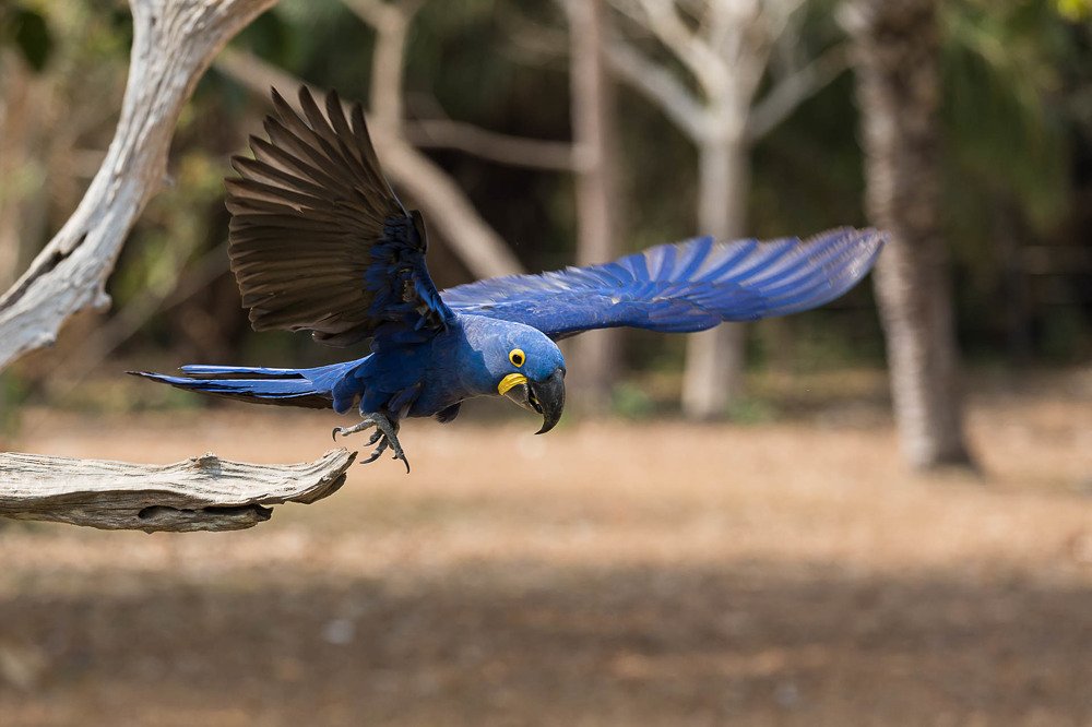 Photograph by Марина Маликова