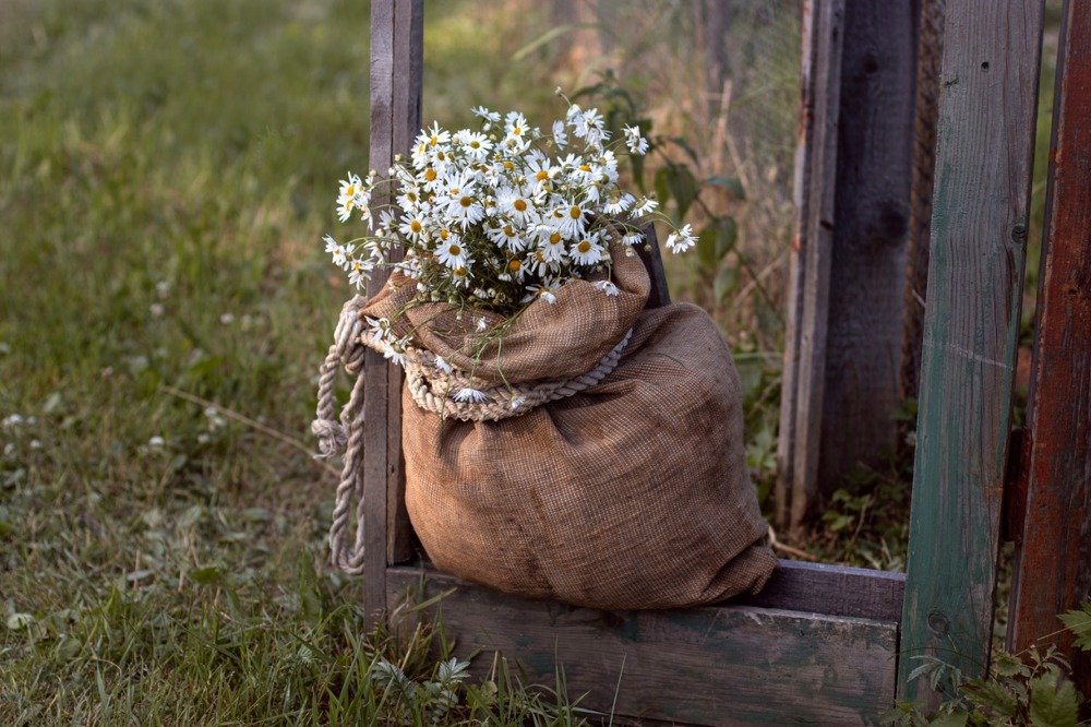 Photograph by Мария Домрачева