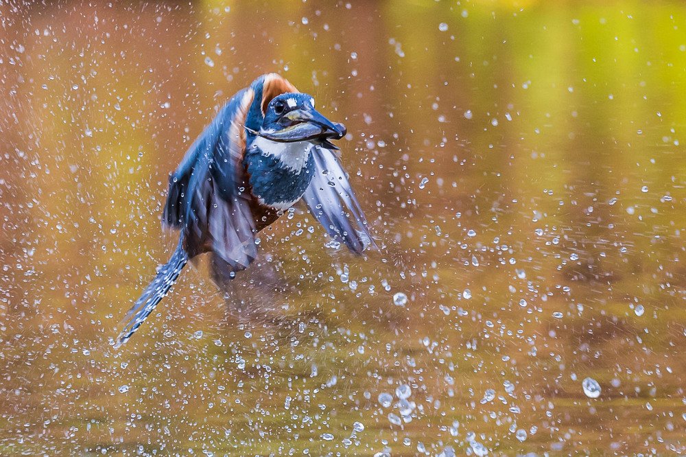 Photograph by Марина Маликова